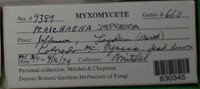 Image Associated With the Occurence
